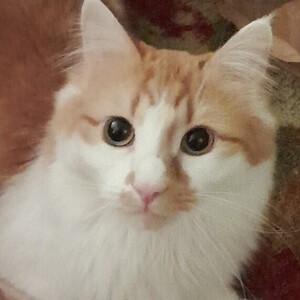 Fundraising Page: Alexx Wood